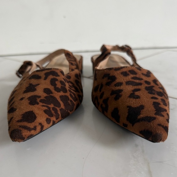 C. Paravano Euro 39 US 8.5 Designer Pointed Toe Cheetah Print Micro Heel Flats - Picture 2 of 9